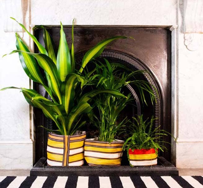British Colour Standard Medium 19 cm - Eco Woven Plant Pot Cover in Tuscan Yellow, Pearl & Rose Beige: 6