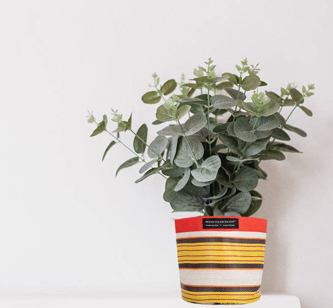 British Colour Standard Medium 19 cm - Eco Woven Plant Pot Cover in Tuscan Yellow, Pearl & Rose Beige: 6
