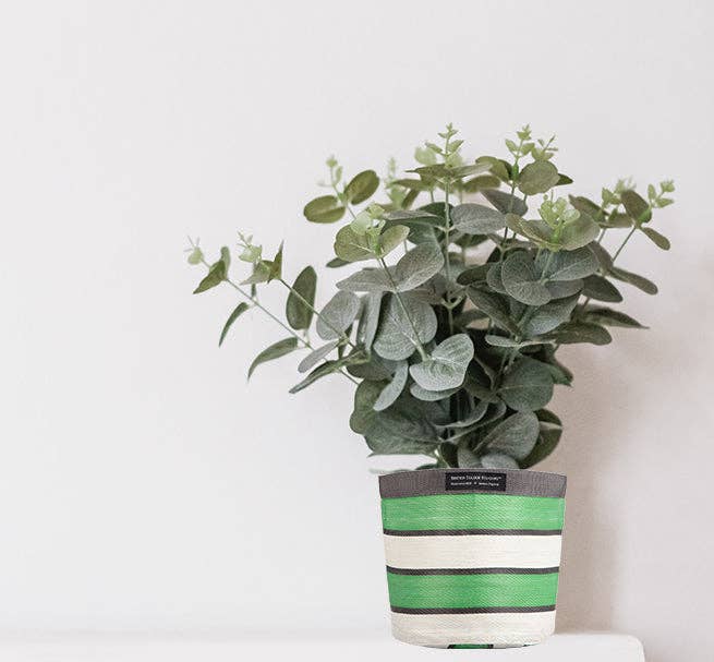 British Colour Standard Medium 19 cm - Eco Woven Plant Pot Cover in Grass Green, Indigo & Pearl: 6