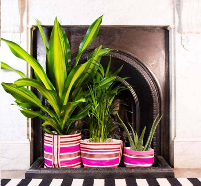 British Colour Standard Medium 19 cm - Eco Woven Plant Pot Cover in Neyron Pink, Pompadour & Pearl: 6