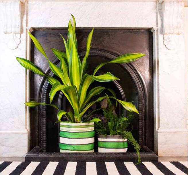 British Colour Standard Medium 19 cm - Eco Woven Plant Pot Cover in Grass Green, Indigo & Pearl: 6