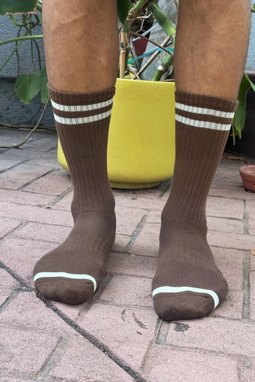 Le Bon Shoppe Boyfriend Socks: Wood